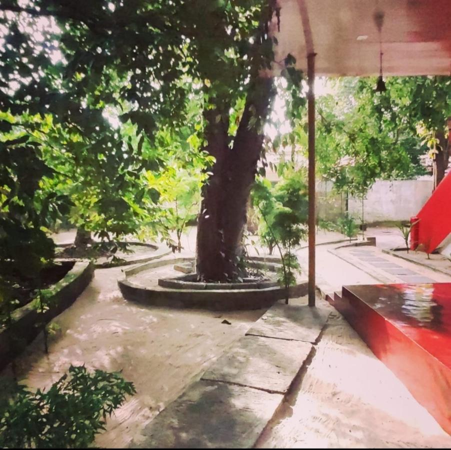 Marari Beach Pearl Homestay Mararikulam Kültér fotó