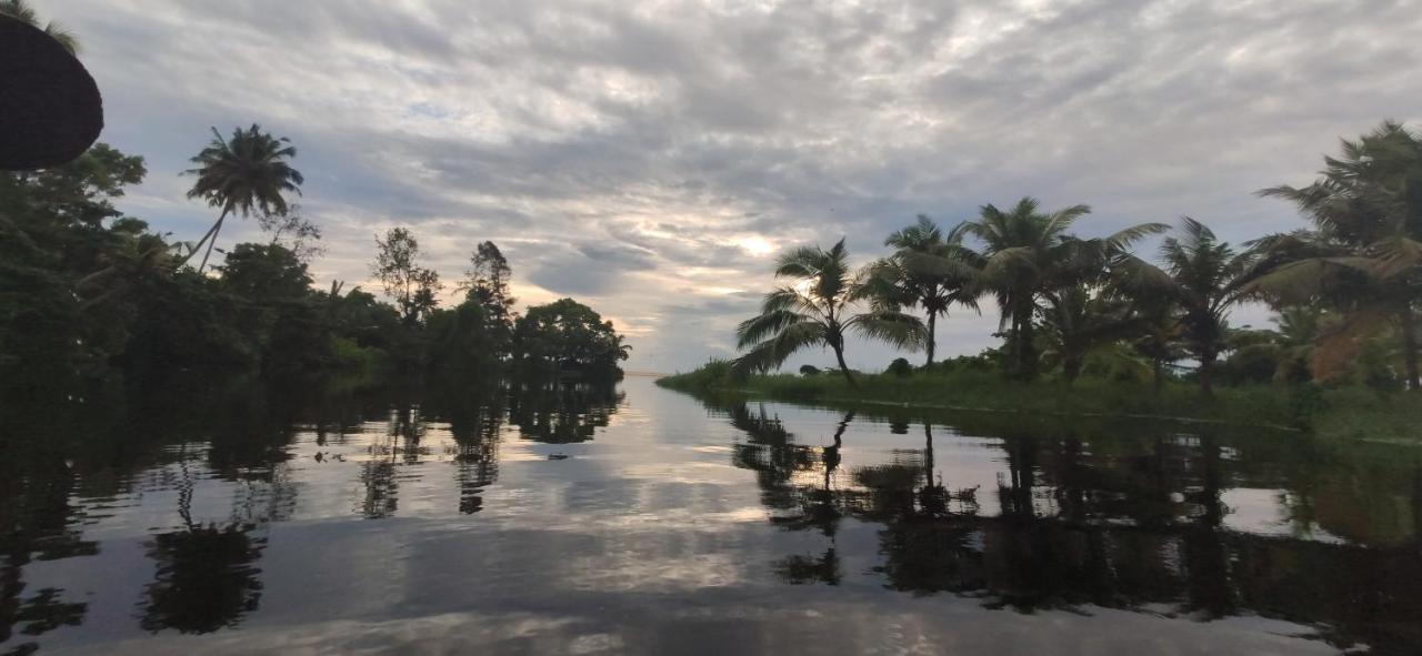 Marari Beach Pearl Homestay Mararikulam Kültér fotó